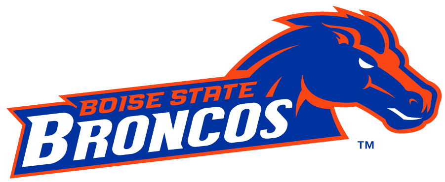 Boise State Broncos 2012-2013 Secondary Logo v3 diy DTF decal sticker